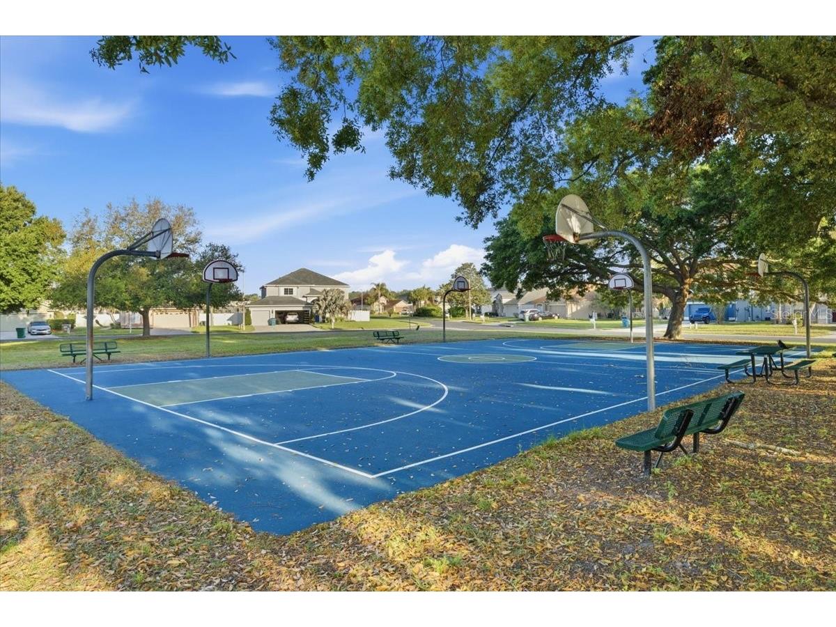 25522 Bruford Boulevard Land O Lakes FL 34639 TB8496710 image39