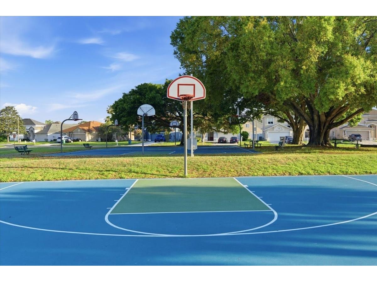 25522 Bruford Boulevard Land O Lakes FL 34639 TB8496710 image40