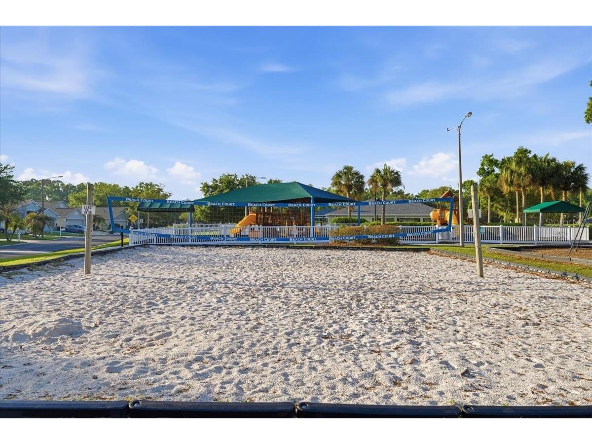 25522 Bruford Boulevard Land O Lakes FL 34639 TB8496710 image41