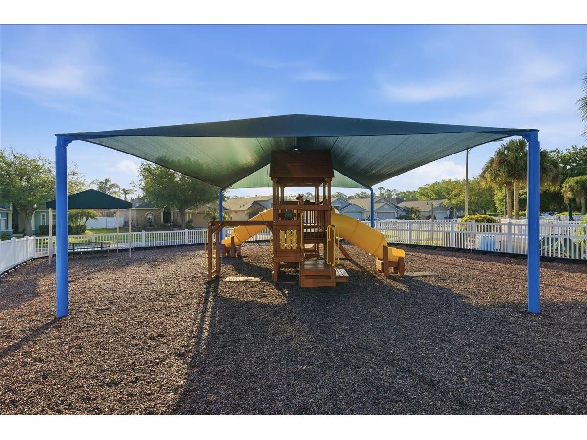 25522 Bruford Boulevard Land O Lakes FL 34639 TB8496710 image44