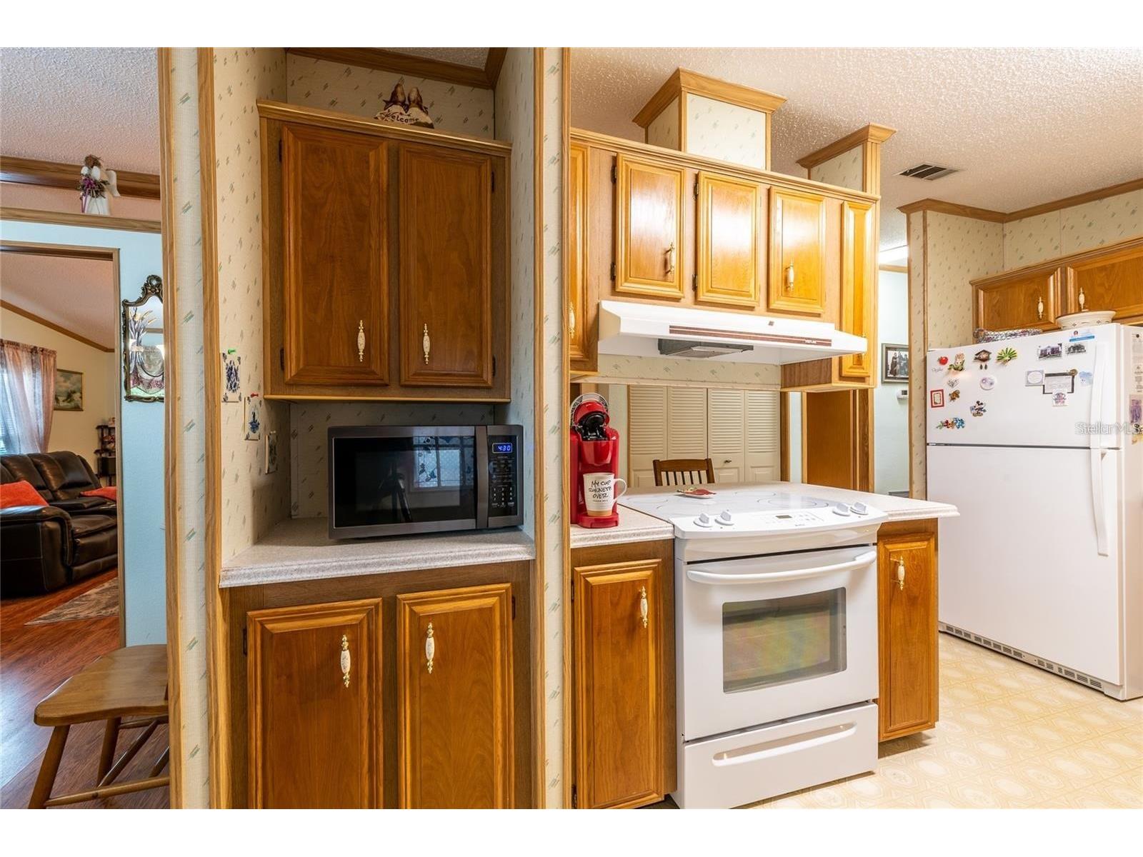 25527 Belle Helene Leesburg FL 34748 G5106620 image9