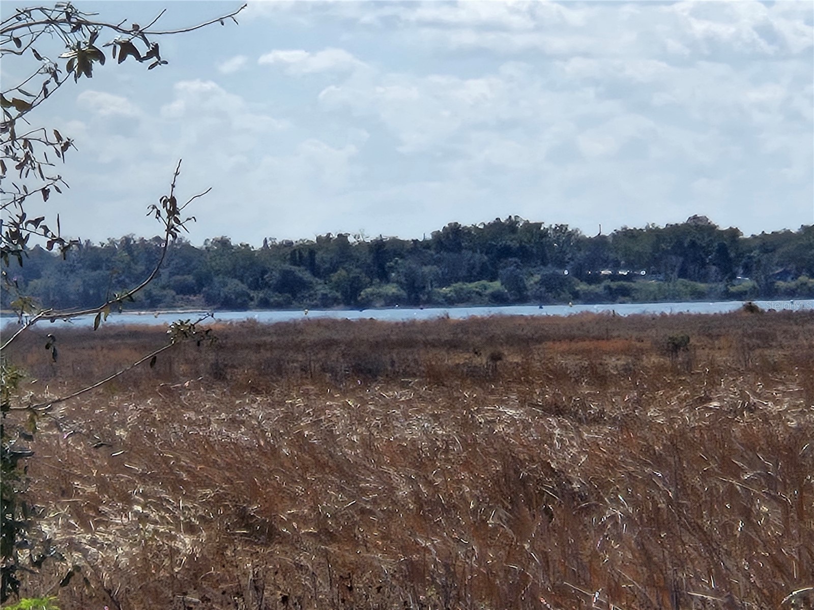 2553 Mariah Place Lake Alfred FL 33850 O6385559 image35