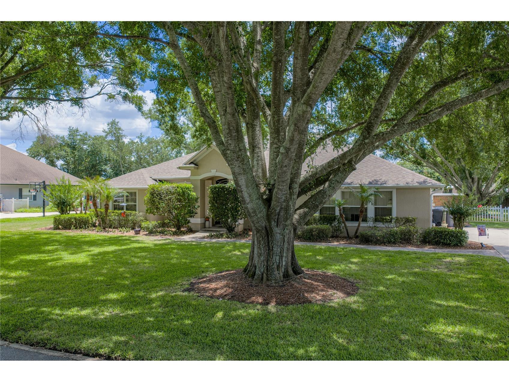 2553 Partridge Drive Winter Haven FL 33884 P4938801 image6