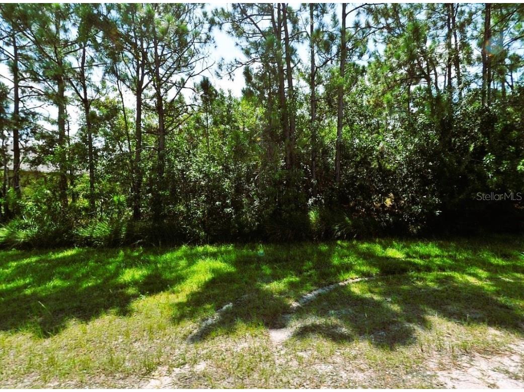 2553 SW Savage Boulevard Port Saint Lucie FL 34953 P4925465 image1