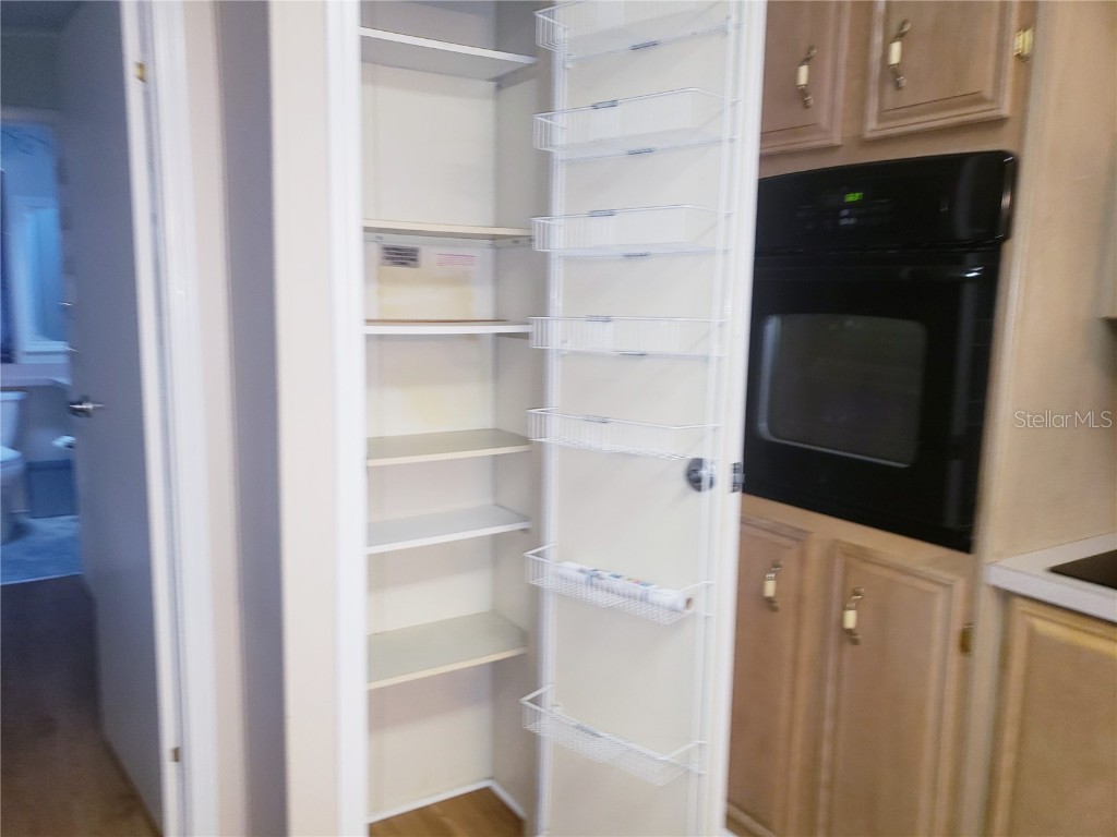 25533 Belle Helene Leesburg FL 34748 G5104285 image20