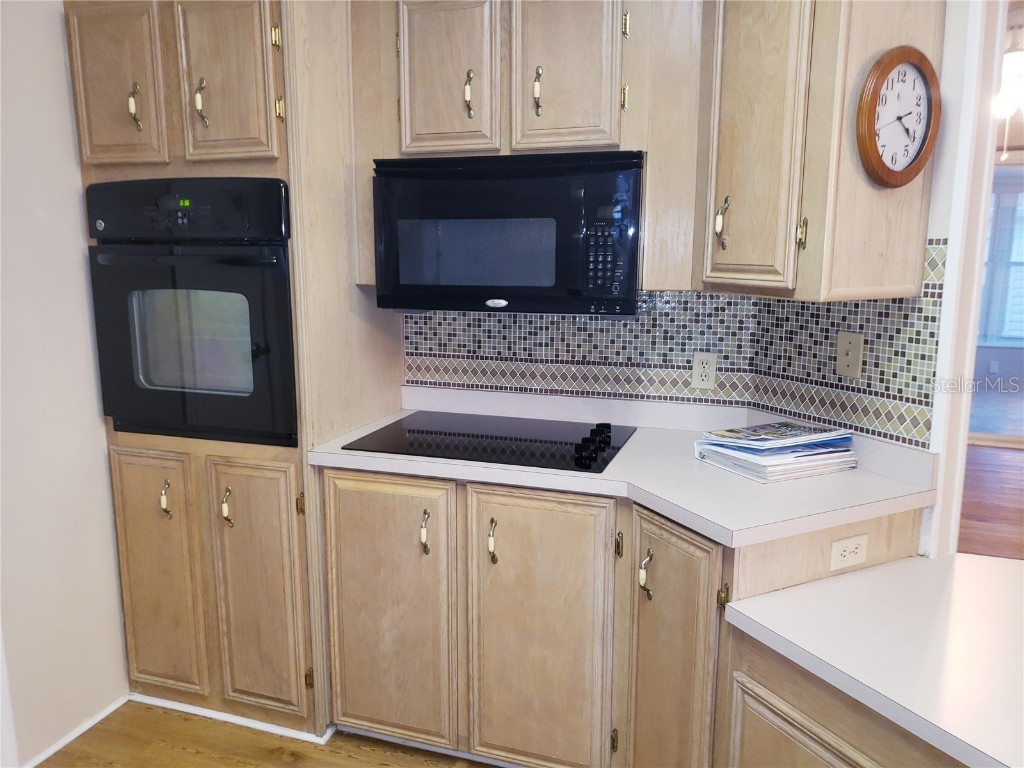 25533 Belle Helene Leesburg FL 34748 G5104285 image32