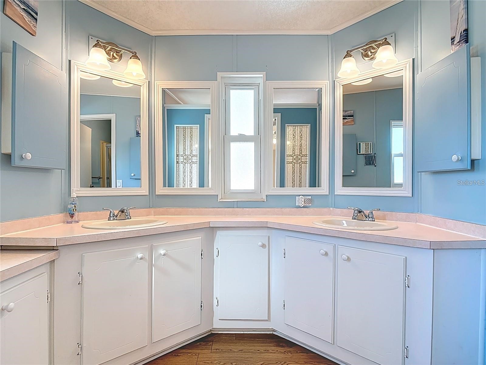 25533 Belle Helene Leesburg FL 34748 G5113757 image12