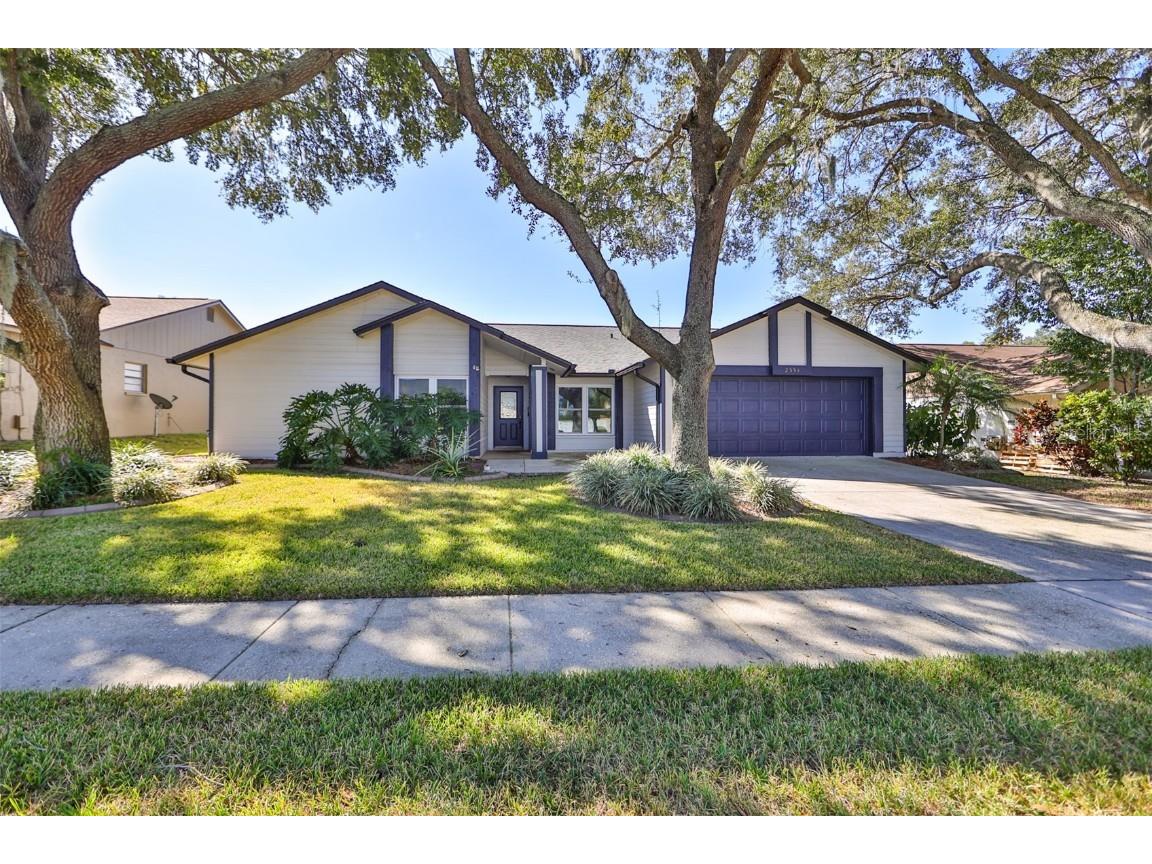 2554 Brimhollow Drive Valrico FL 33596 T3481242 image1