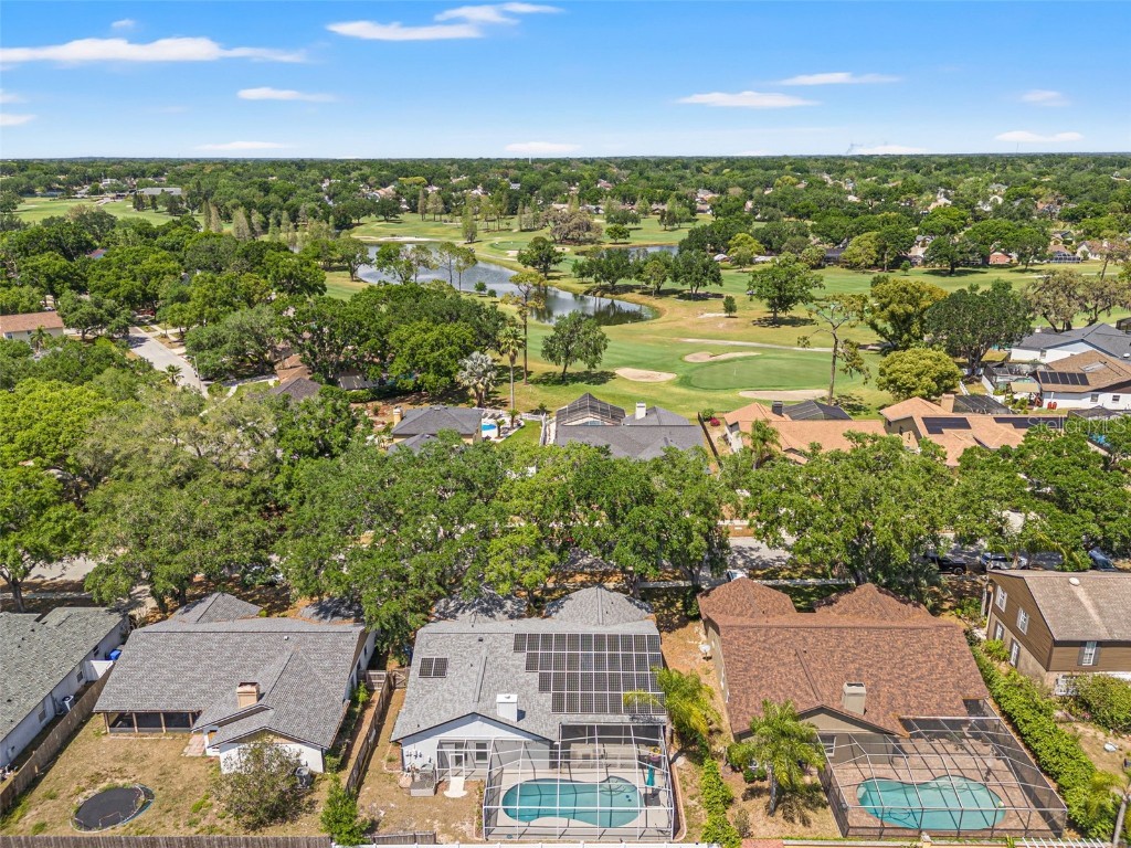 2554 Brimhollow Drive Valrico FL 33596 TB8368671 image36