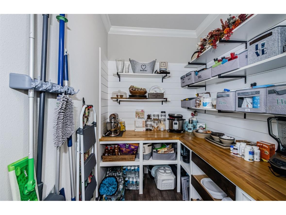 2554 Claymore Street Odessa FL 33556 W7878804 image15