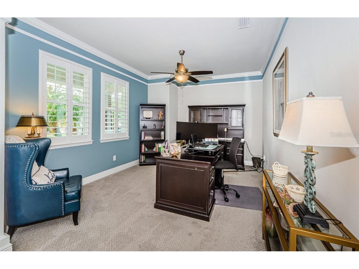 2554 Claymore Street Odessa FL 33556 W7878804 image16