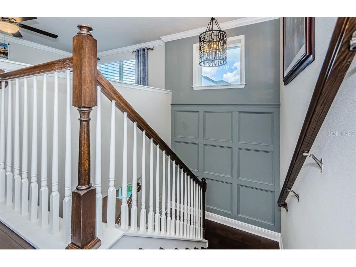 2554 Claymore Street Odessa FL 33556 W7878804 image20