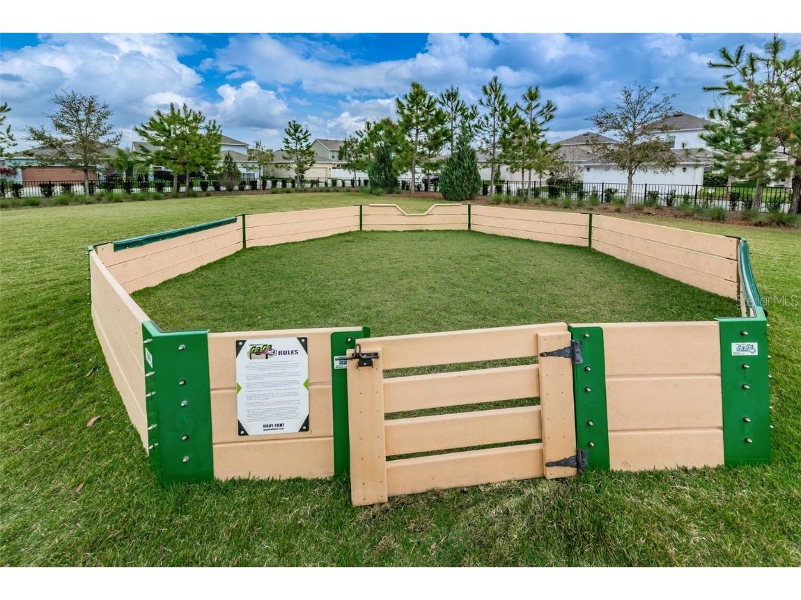 2554 Claymore Street Odessa FL 33556 W7878804 image63