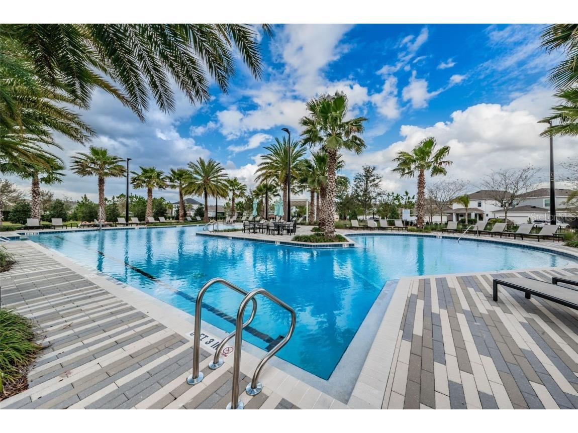 2554 Claymore Street Odessa FL 33556 W7878804 image71