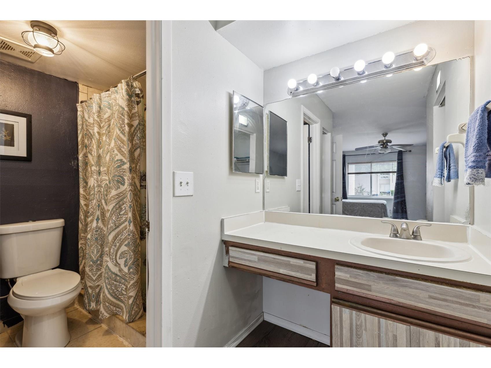 2554 Lakeway Branch Drive #3001 Orlando FL 32839 O6423141 image7