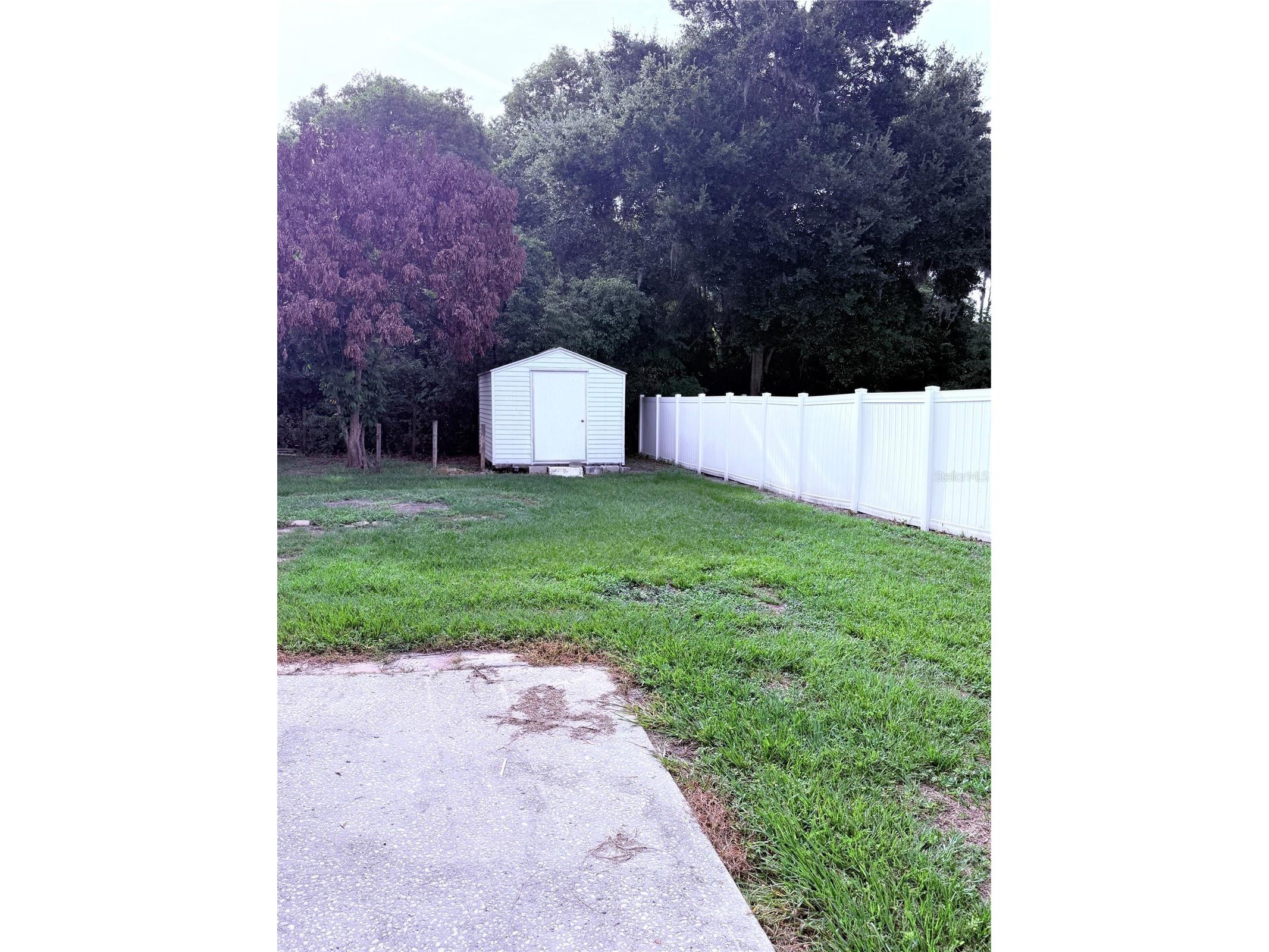 2554 Martha Lane Land O Lakes FL 34639 TB8514383 image12