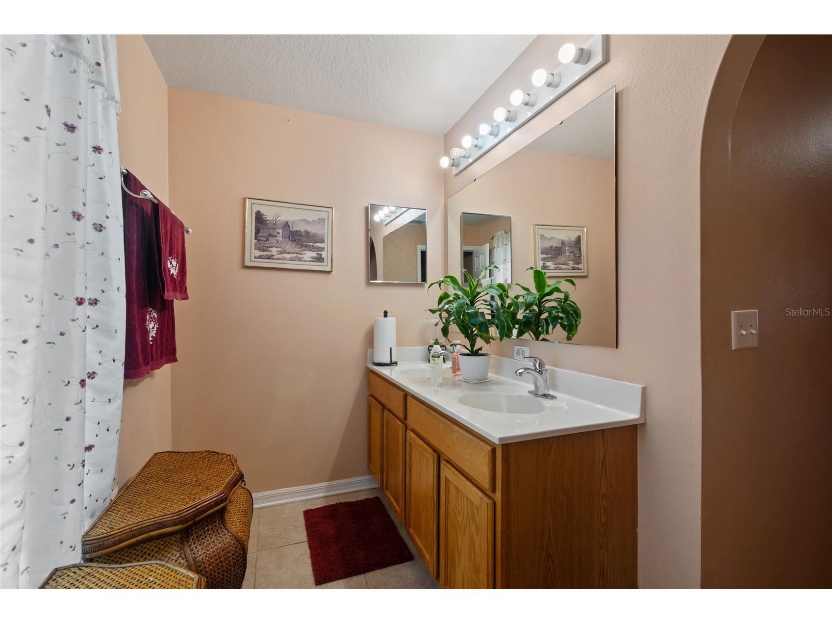 2554 Palmetto Ridge Circle Apopka FL 32712 O6398295 image14