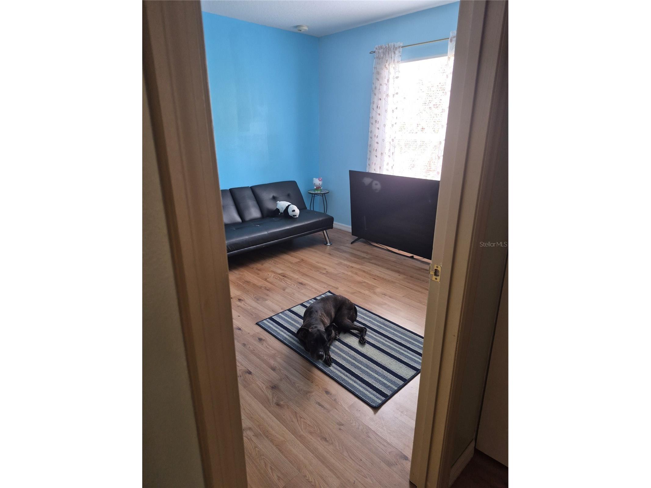 2554 Palmetto Ridge Circle Apopka FL 32712 O6398295 image17