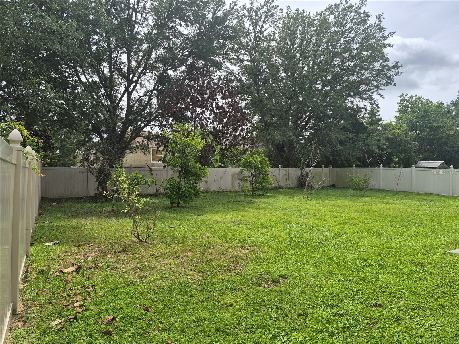 2554 Palmetto Ridge Circle Apopka FL 32712 O6398295 image3