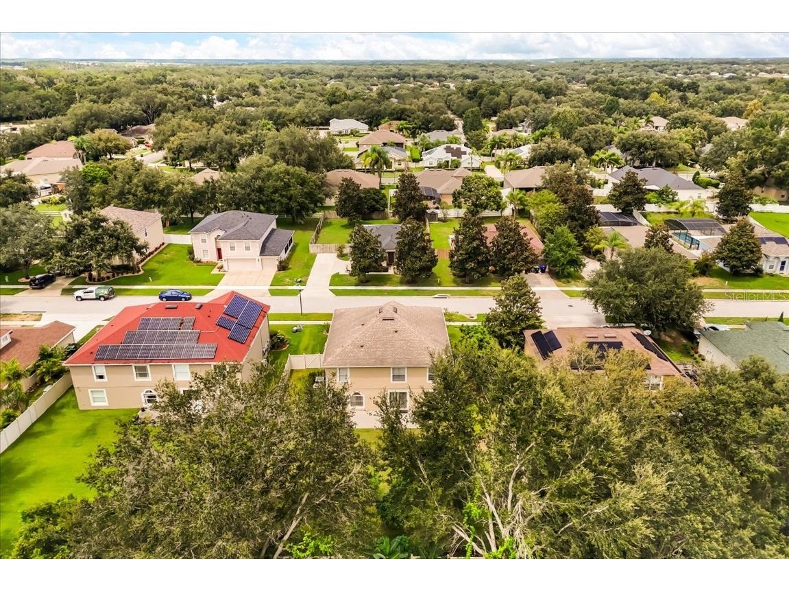 2554 Palmetto Ridge Circle Apopka FL 32712 S5132990 image34