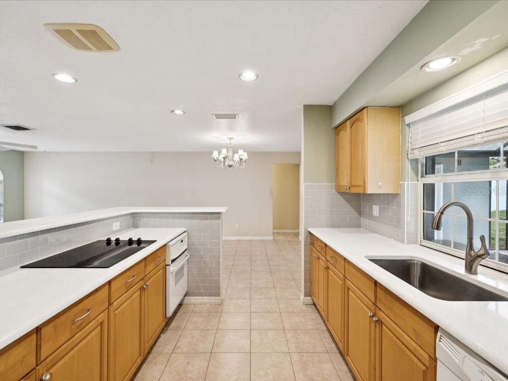 2554 Rolling Oaks Drive Palm Harbor FL 34683 OM708416 image14