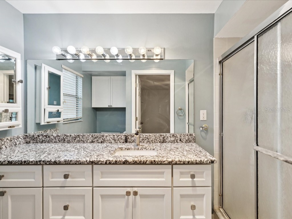 2554 Rolling Oaks Drive Palm Harbor FL 34683 OM708416 image24