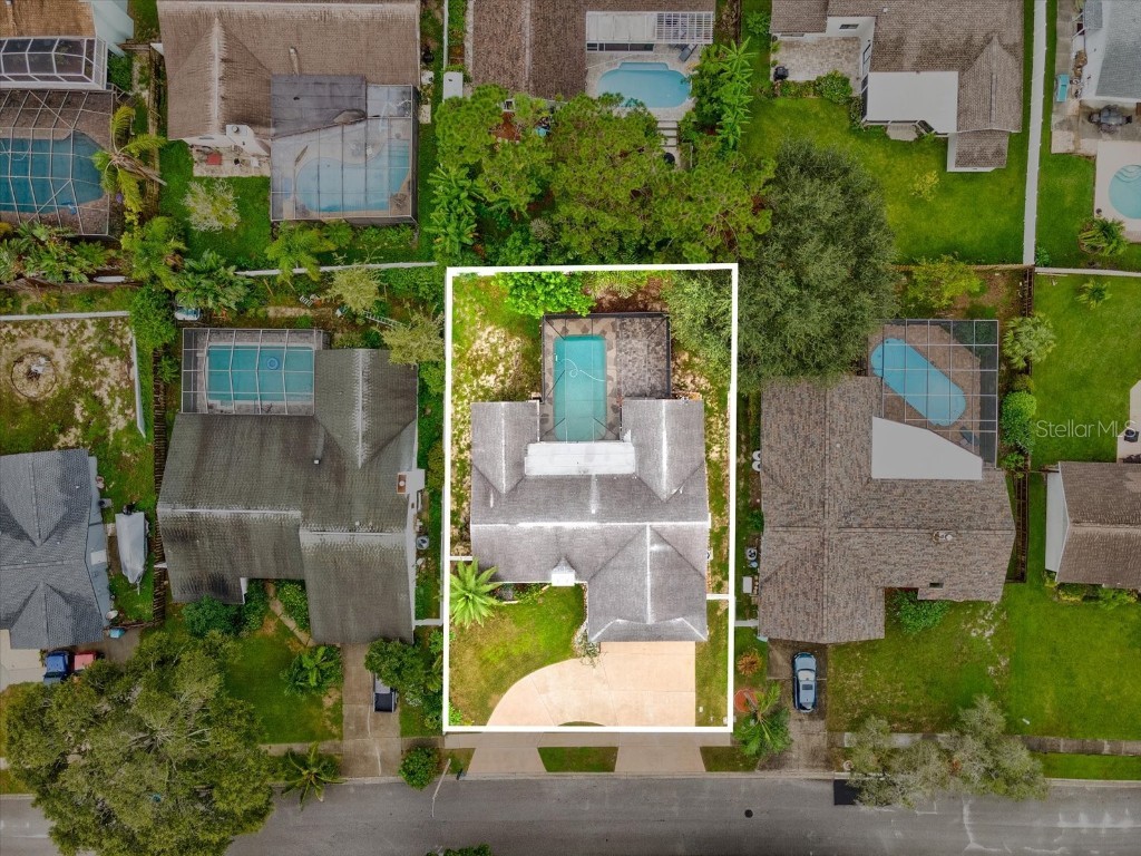 2554 Rolling Oaks Drive Palm Harbor FL 34683 OM708416 image45