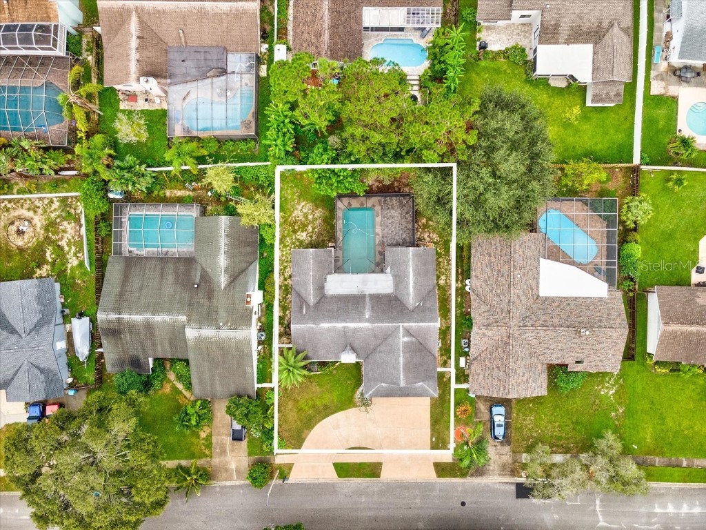 2554 Rolling Oaks Drive Palm Harbor FL 34683 OM708416 image46