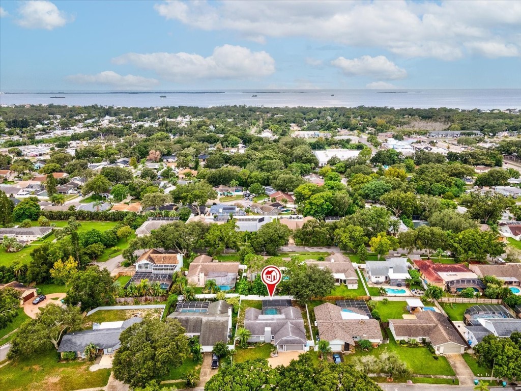 2554 Rolling Oaks Drive Palm Harbor FL 34683 OM708416 image47