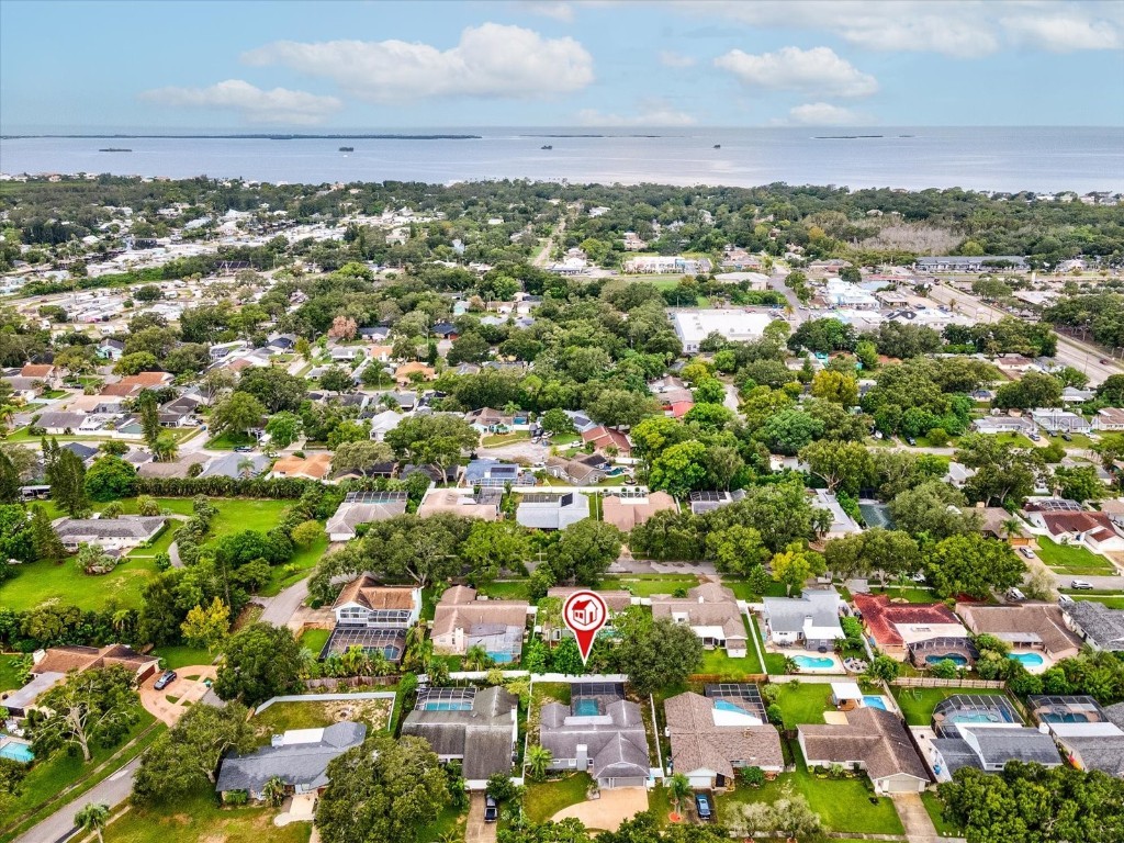 2554 Rolling Oaks Drive Palm Harbor FL 34683 OM708416 image48