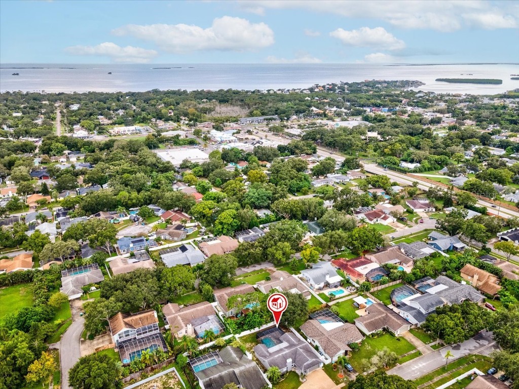 2554 Rolling Oaks Drive Palm Harbor FL 34683 OM708416 image49