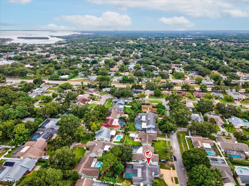 2554 Rolling Oaks Drive Palm Harbor FL 34683 OM708416 image50