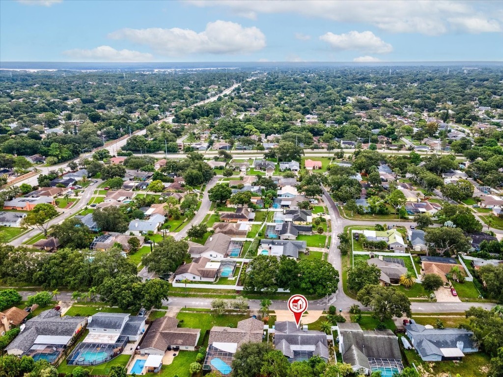 2554 Rolling Oaks Drive Palm Harbor FL 34683 OM708416 image51