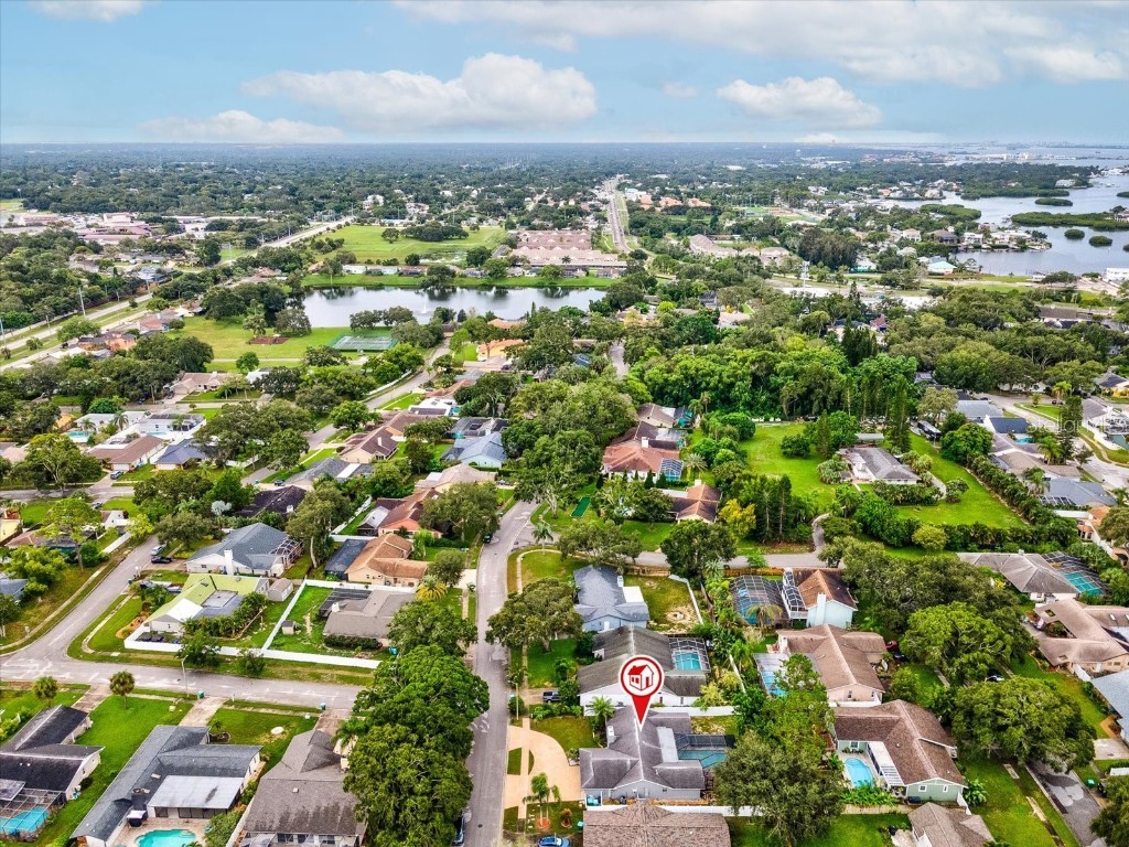 2554 Rolling Oaks Drive Palm Harbor FL 34683 OM708416 image52