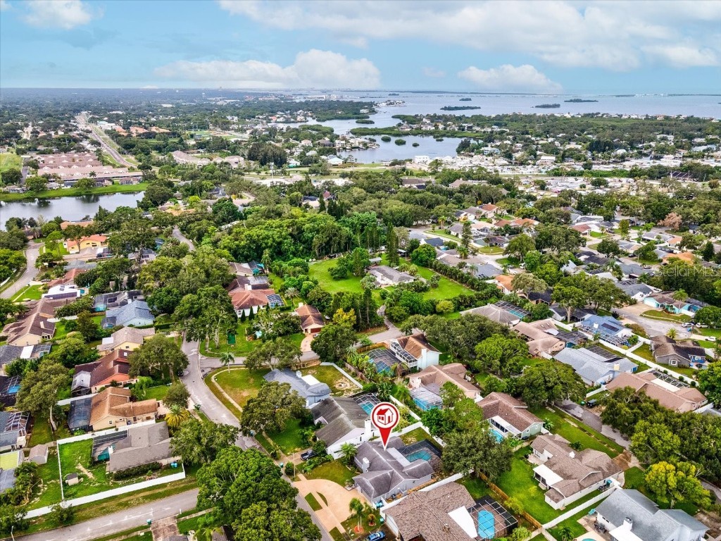 2554 Rolling Oaks Drive Palm Harbor FL 34683 OM708416 image53