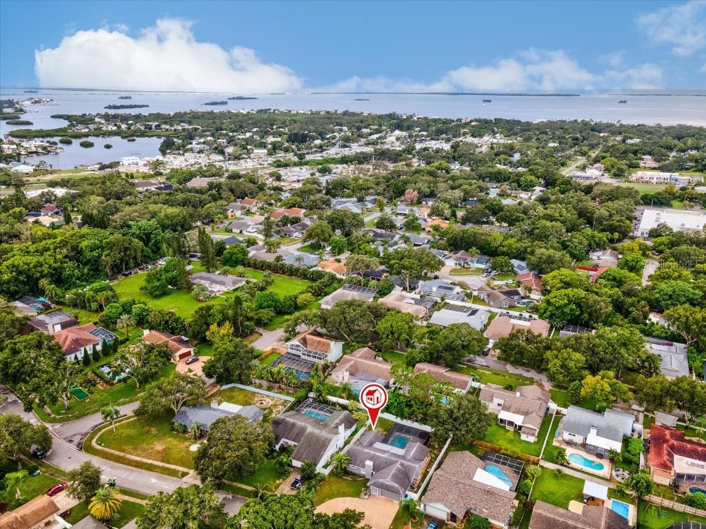 2554 Rolling Oaks Drive Palm Harbor FL 34683 OM708416 image54