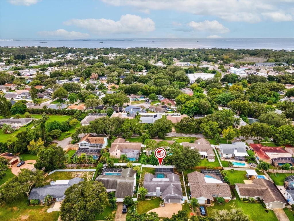 2554 Rolling Oaks Drive Palm Harbor FL 34683 OM708416 image55