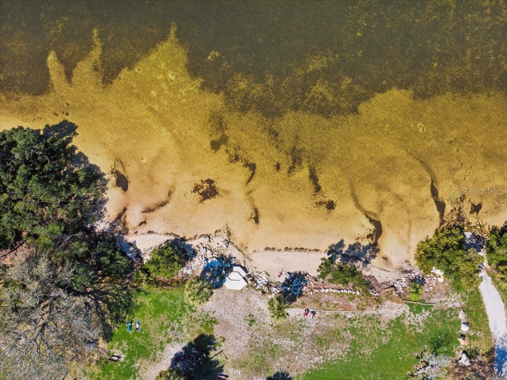 2554 Rolling Oaks Drive Palm Harbor FL 34683 OM708416 image59