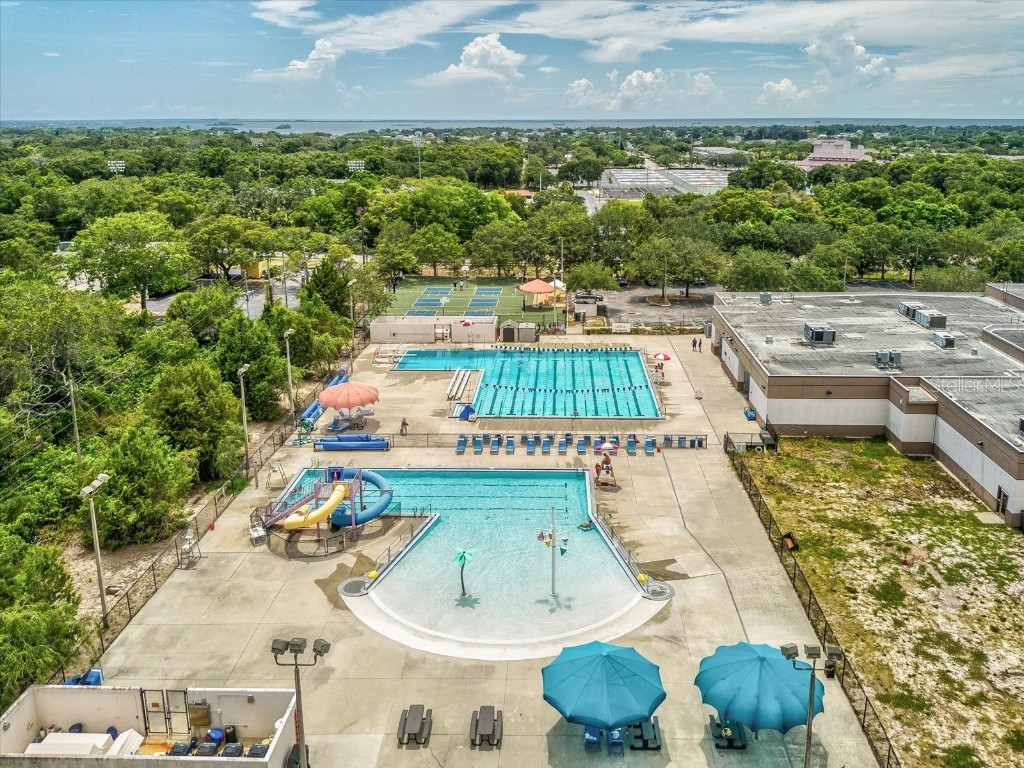 2554 Rolling Oaks Drive Palm Harbor FL 34683 OM708416 image70