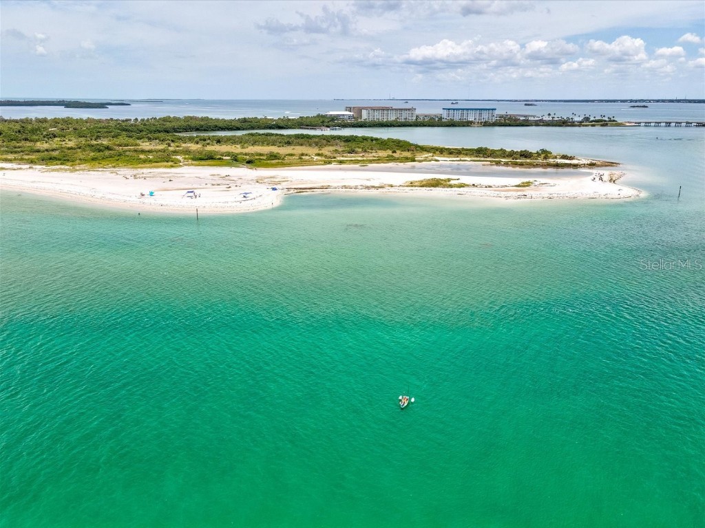 2554 Rolling Oaks Drive Palm Harbor FL 34683 OM708416 image76