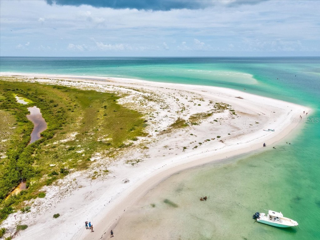 2554 Rolling Oaks Drive Palm Harbor FL 34683 OM708416 image77