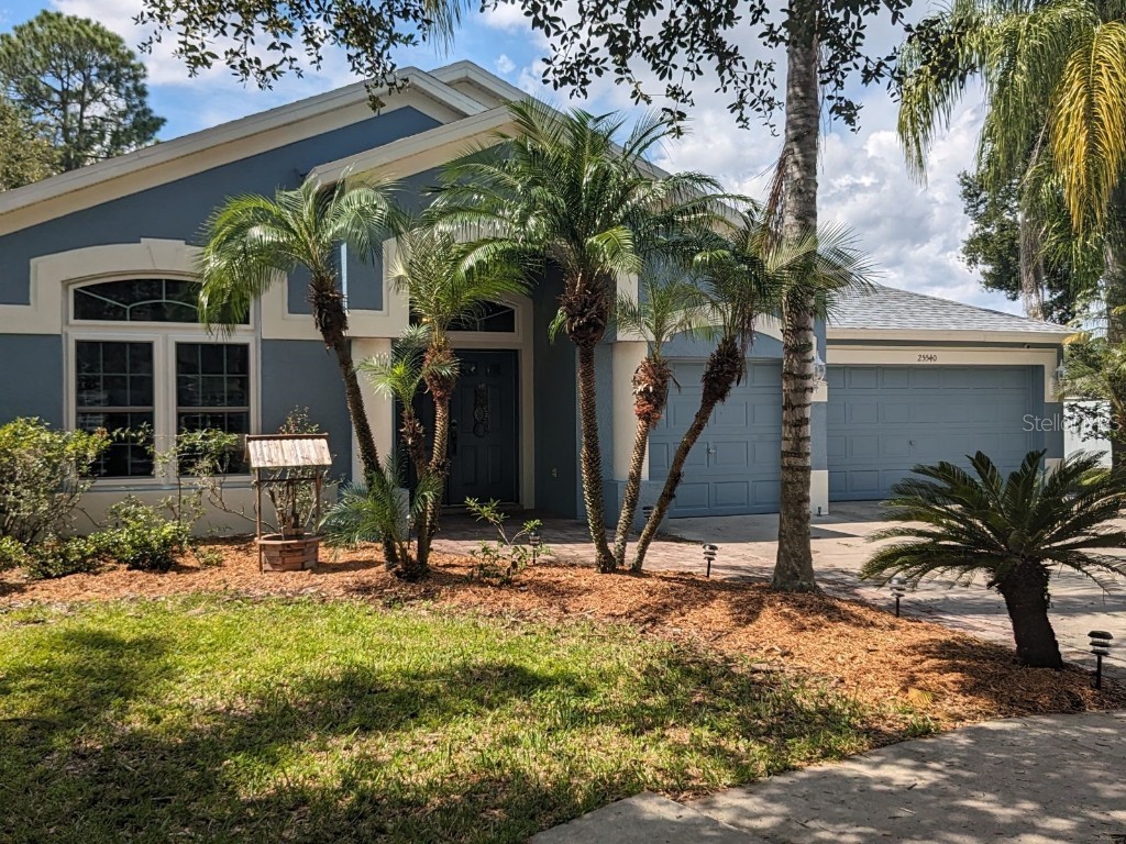 25540 Risen Star Drive Wesley Chapel FL 33544 O6140701 image1
