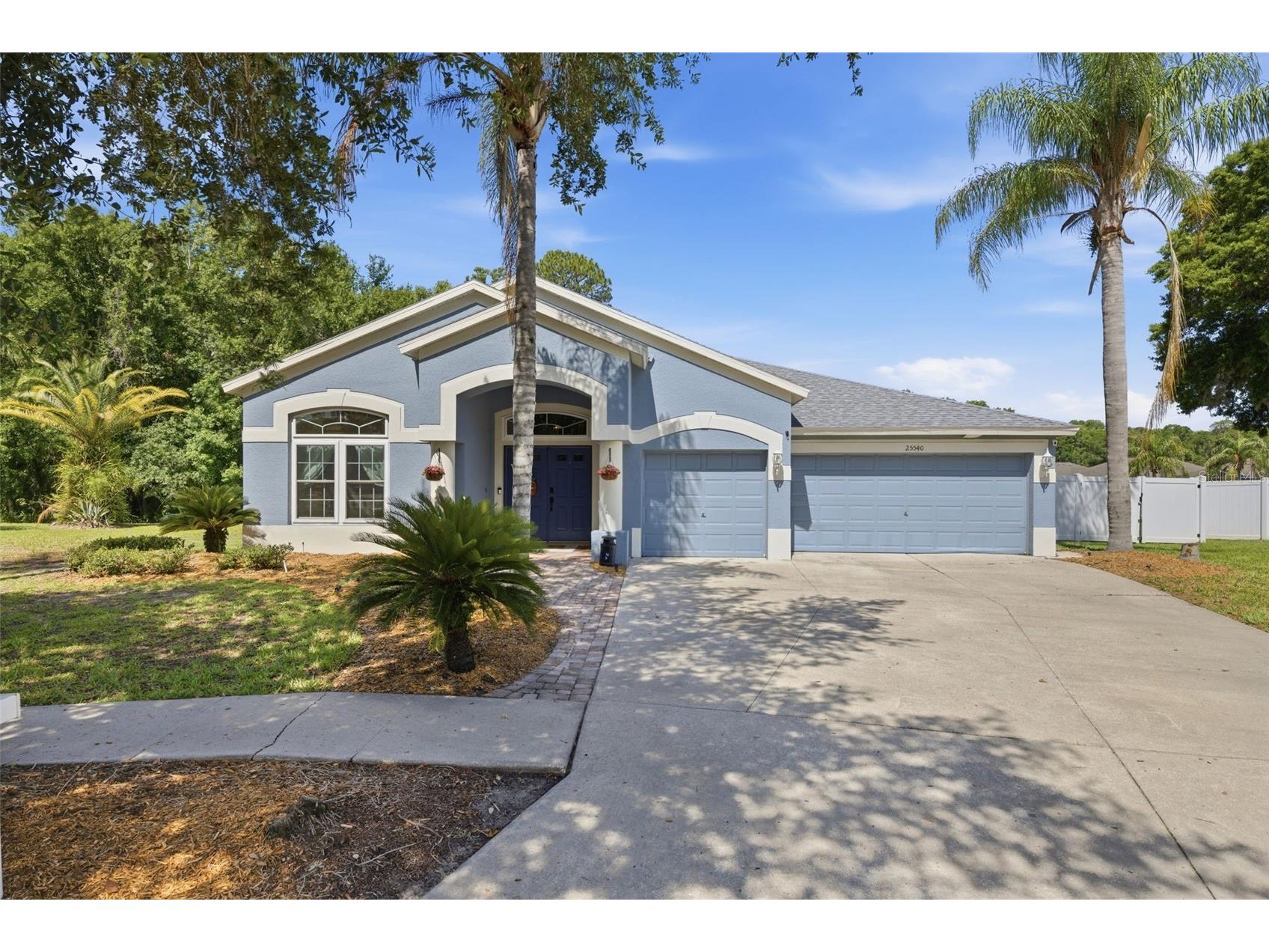 25540 Risen Star Drive Wesley Chapel FL 33544 TB8509848 image1