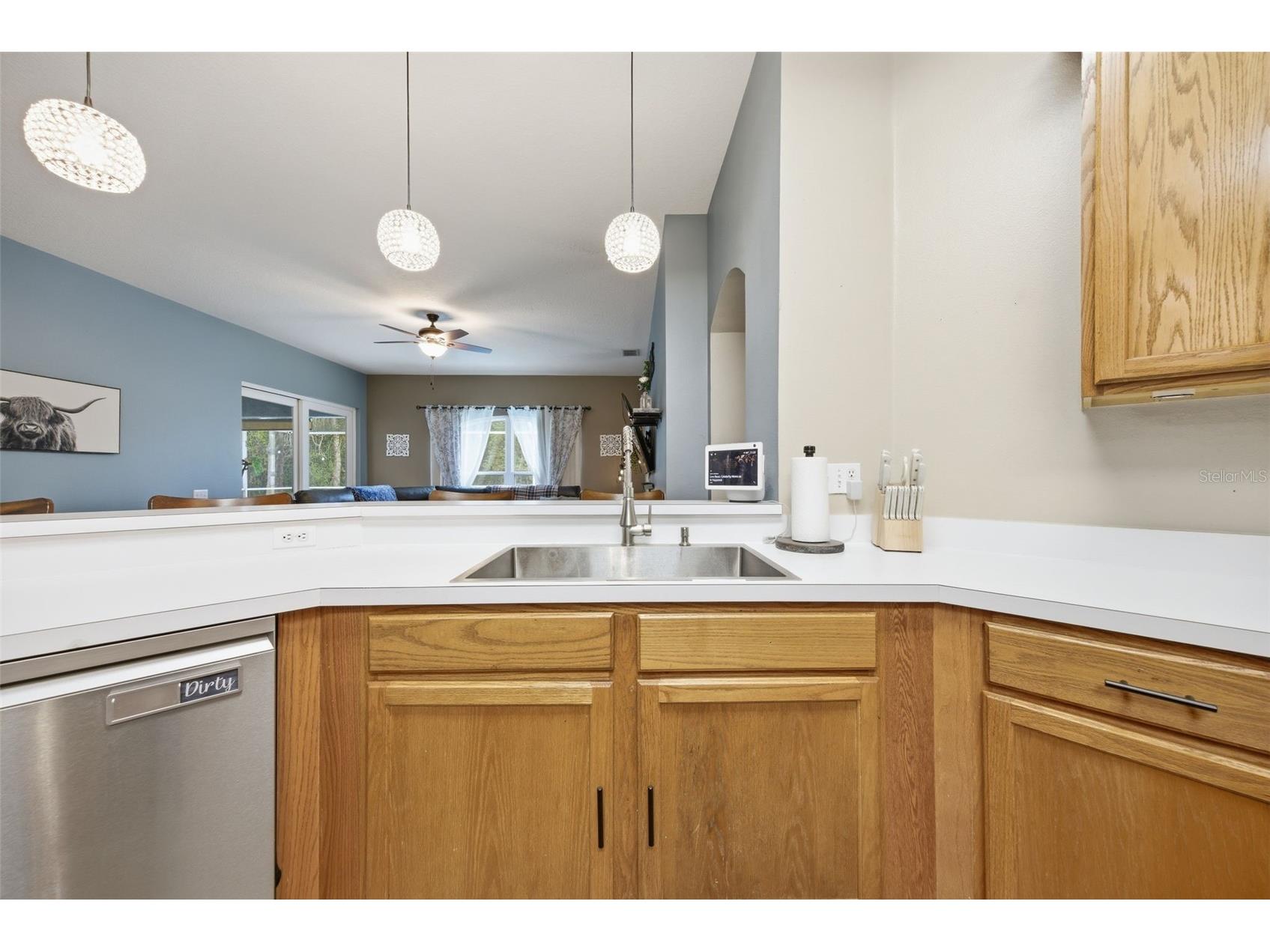 25540 Risen Star Drive Wesley Chapel FL 33544 TB8509848 image11