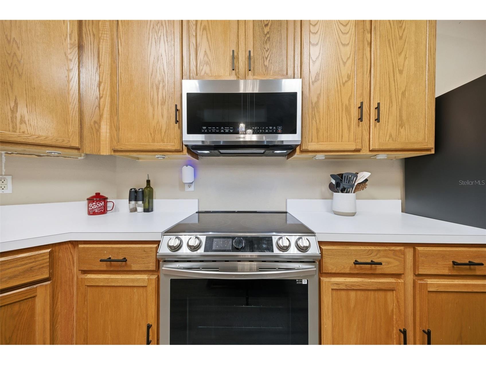 25540 Risen Star Drive Wesley Chapel FL 33544 TB8509848 image12