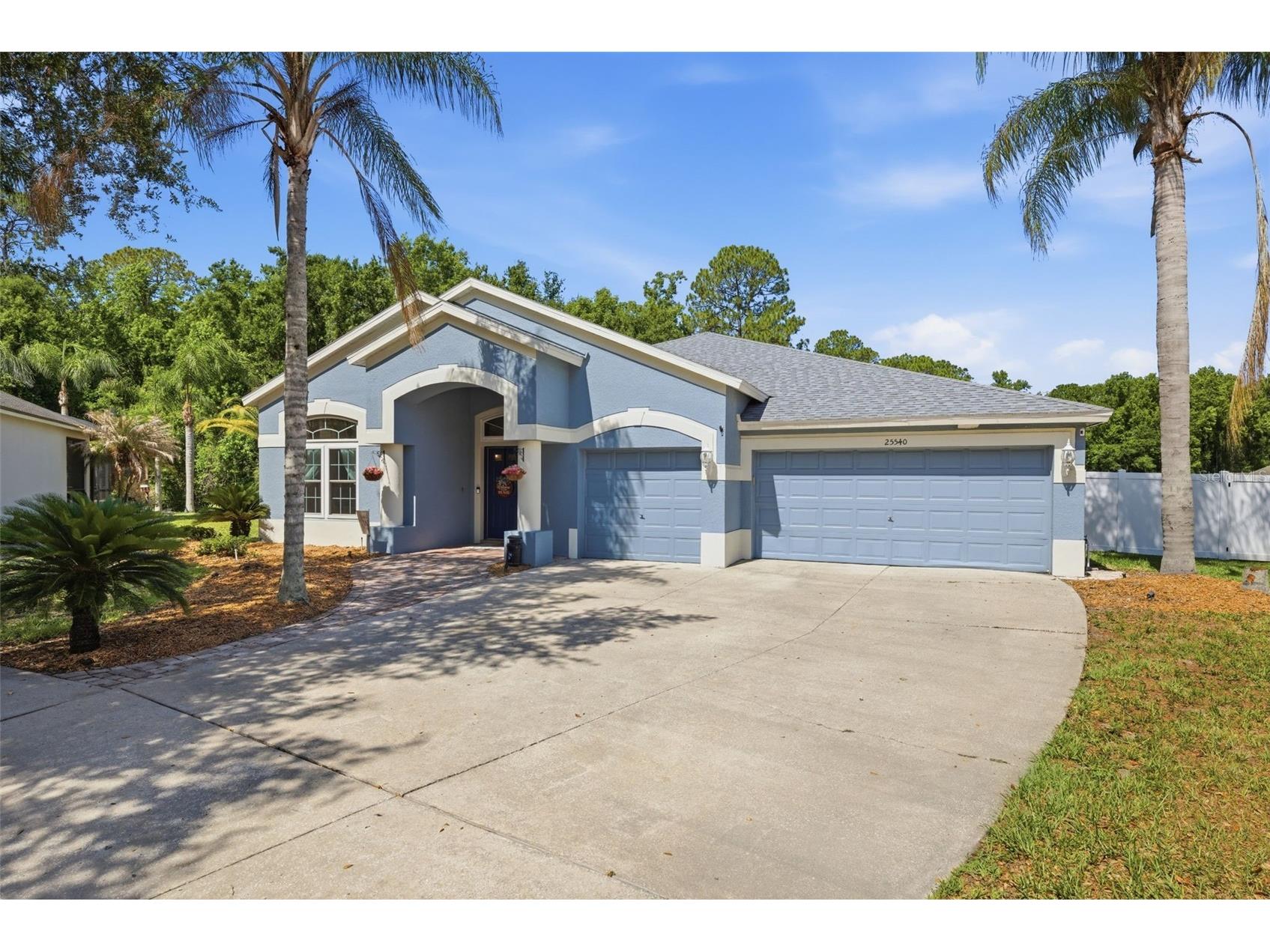 25540 Risen Star Drive Wesley Chapel FL 33544 TB8509848 image2