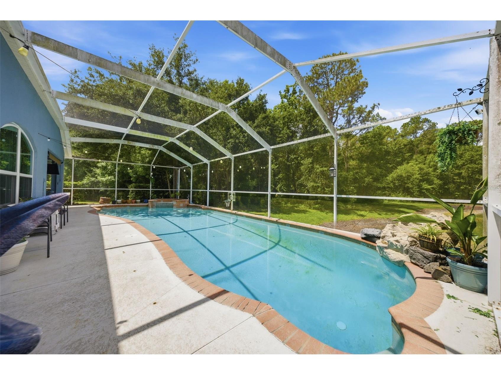 25540 Risen Star Drive Wesley Chapel FL 33544 TB8509848 image36