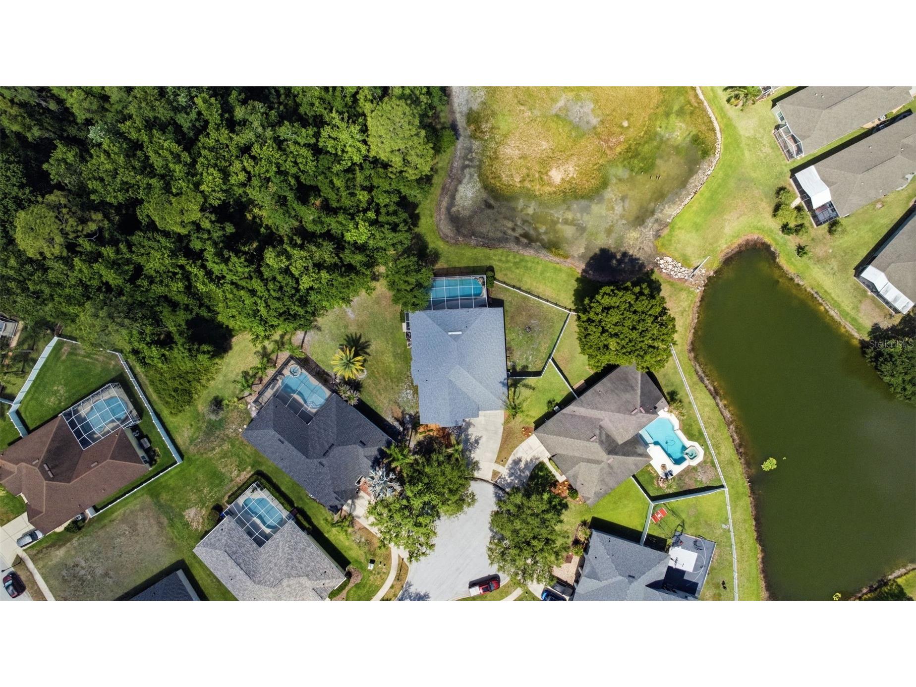 25540 Risen Star Drive Wesley Chapel FL 33544 TB8509848 image39