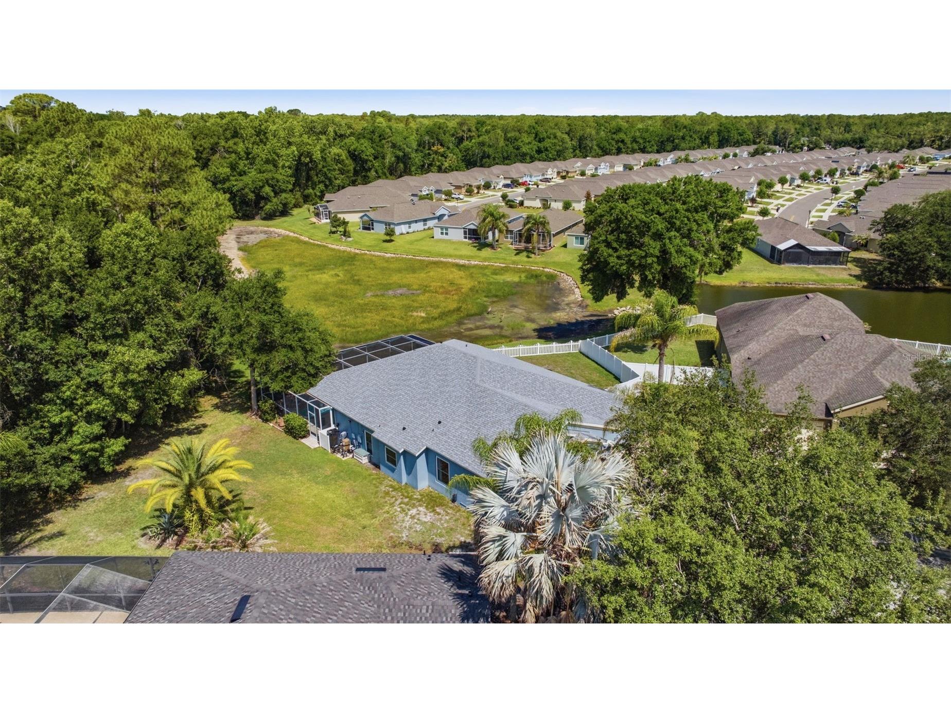 25540 Risen Star Drive Wesley Chapel FL 33544 TB8509848 image45
