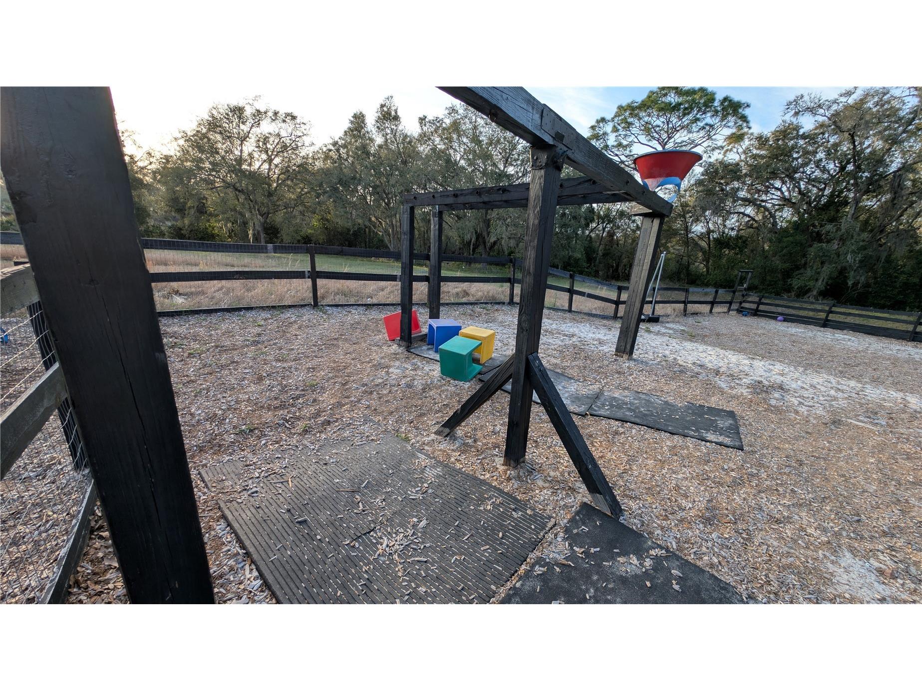 25541 Sorrento Avenue Sorrento FL 32776 O6397175 image23